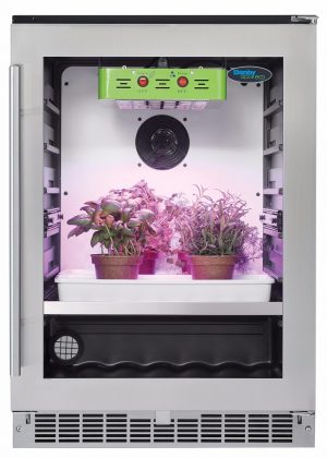 HerbGrower_FrontPropped_Lights_Layers HerbGrower_FrontPropped_Lights_Layers