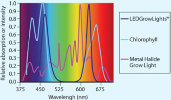 Spectrum1 Spectrum1