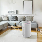 dap290baw-insetting-2.jpg