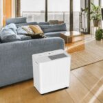 ddr050bswdb-insetting-1.jpg ddr050bswdb-insetting-1.jpg